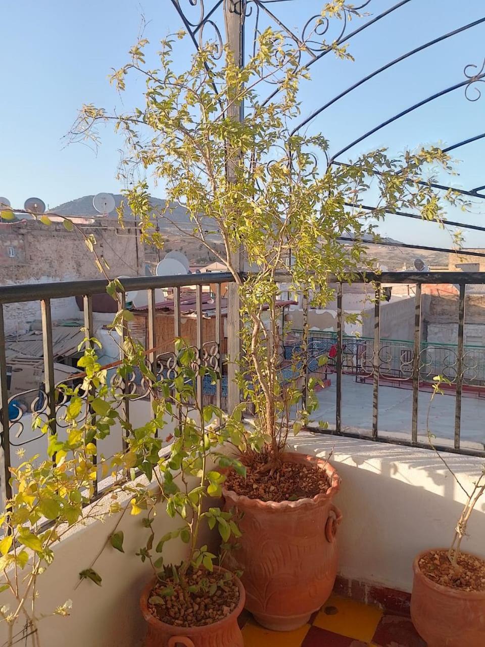 Riad Drissia Panoramic Фес Екстер'єр фото